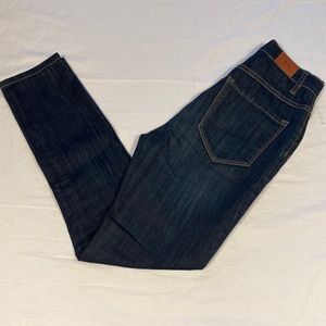 BDG Denim High Rise Skinny Leg Jeans